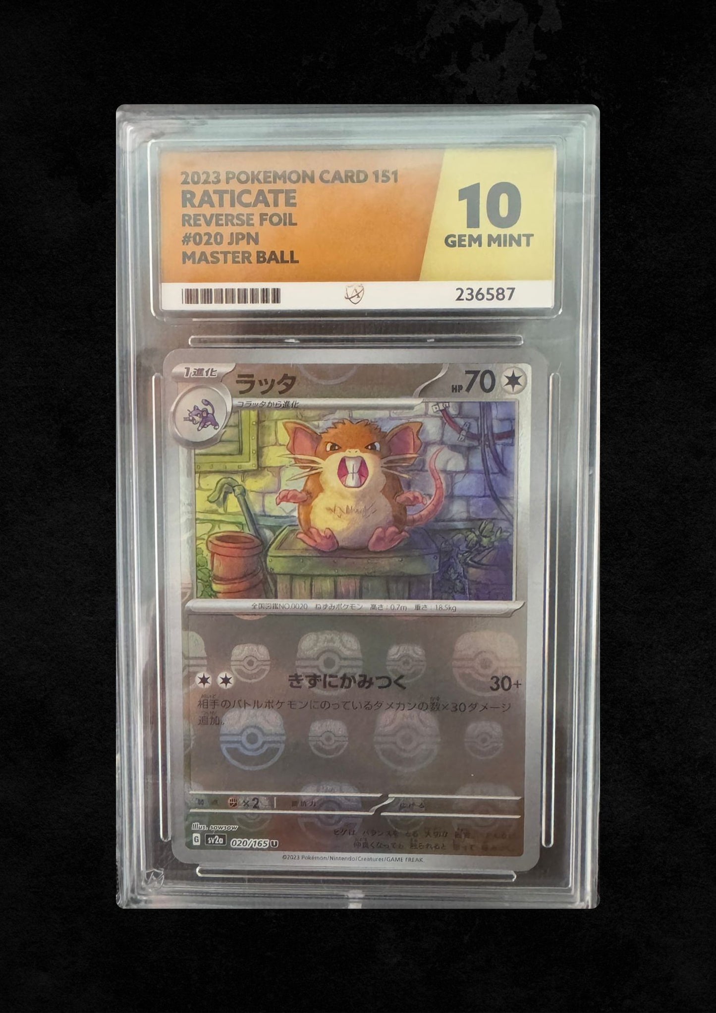 Raticate Reverse Foil Master Ball #20 Gem Mint 10